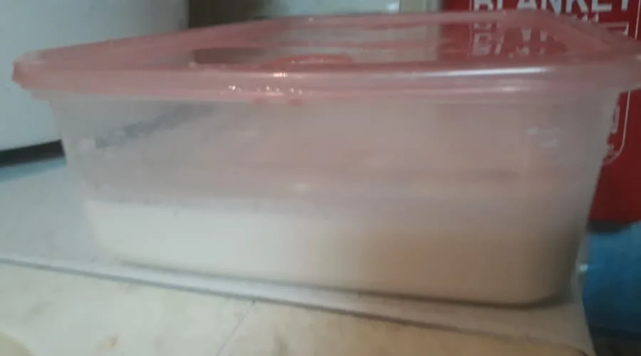 Step 16