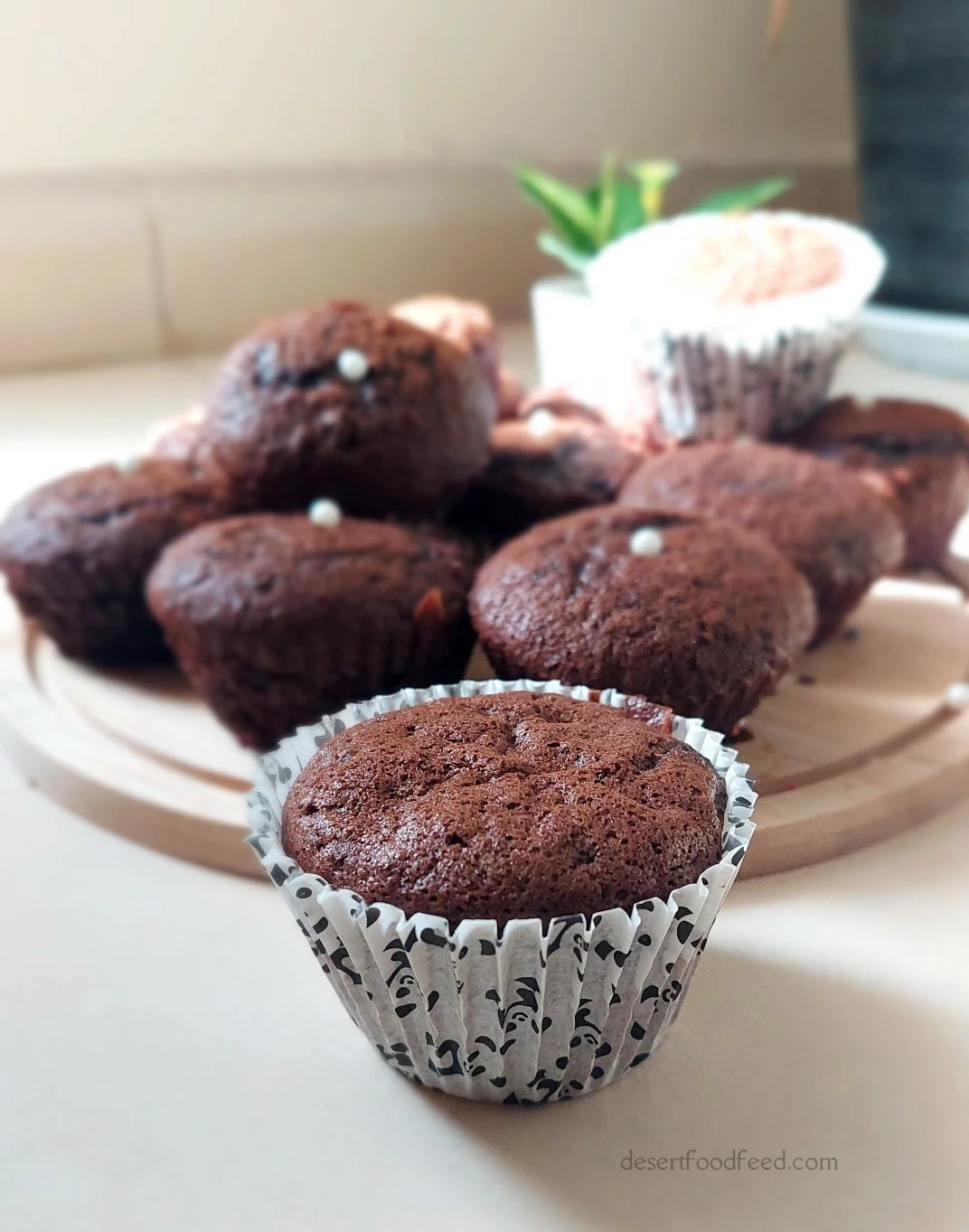 Moist Chocolate Cupcake Recipe