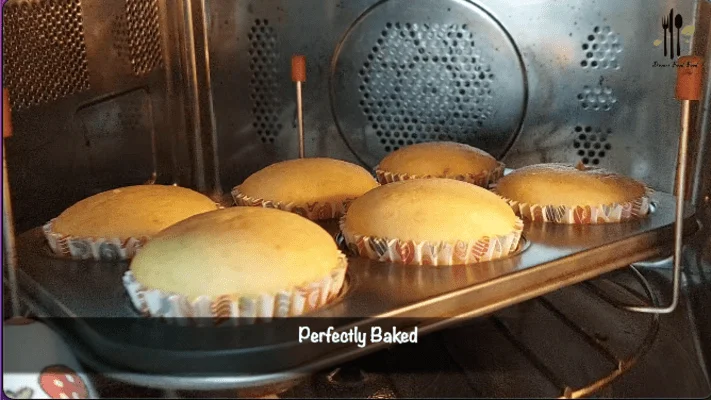 Step 15